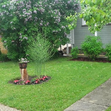 Haavalehe Summer House Haapsalu Ngoại thất bức ảnh